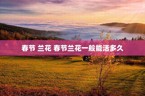 春节 兰花 春节兰花一般能活多久