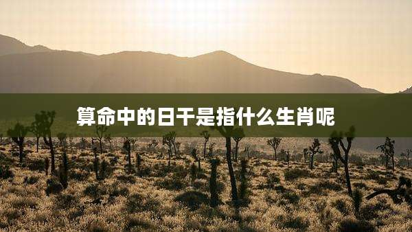 算命中的日干是指什么生肖呢