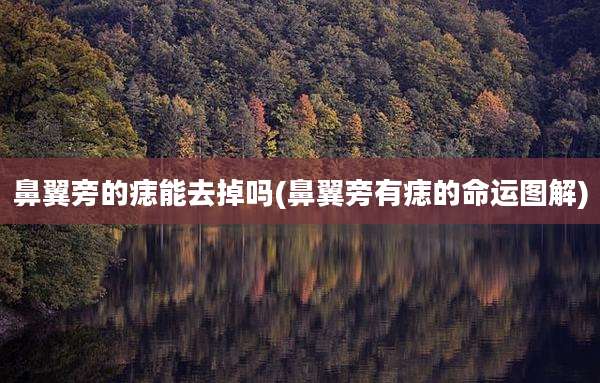 鼻翼旁的痣能去掉吗(鼻翼旁有痣的命运图解)