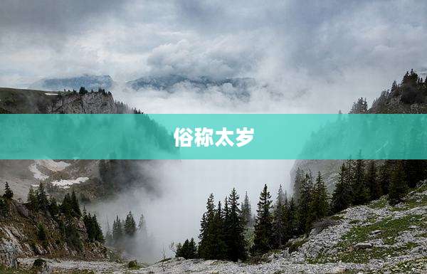 俗称太岁