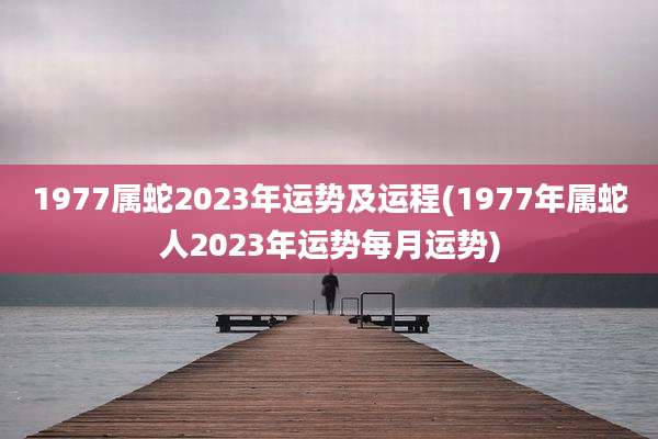 1977属蛇2023年运势及运程(1977年属蛇人2023年运势每月运势)
