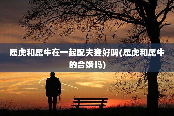 属虎和属牛在一起配夫妻好吗(属虎和属牛的合婚吗)