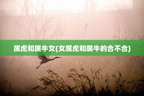 属虎和属牛女(女属虎和属牛的合不合)