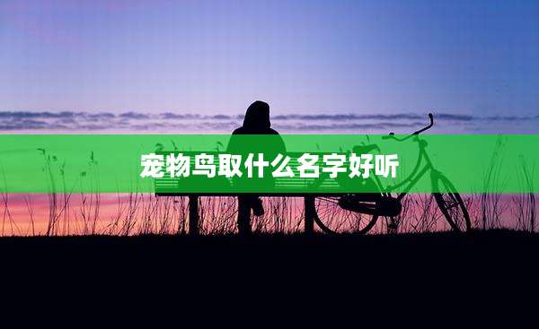 宠物鸟取什么名字好听