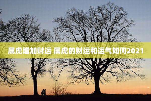 属虎增加财运 属虎的财运和运气如何2021