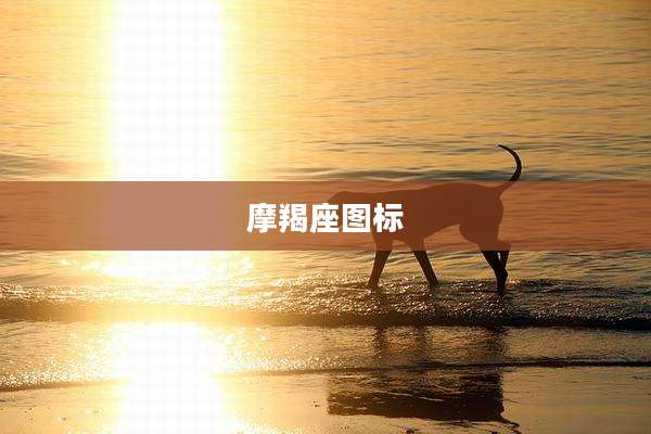 摩羯座图标