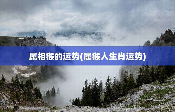 属相猴的运势(属猴人生肖运势)