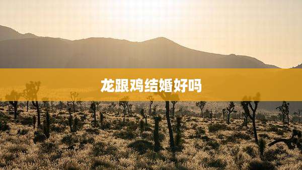 龙跟鸡结婚好吗