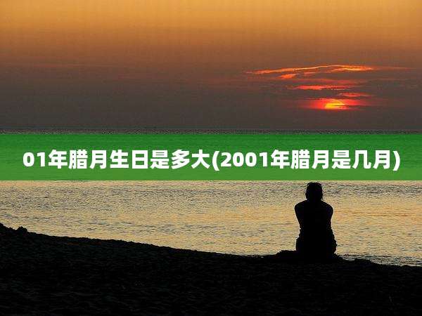 01年腊月生日是多大(2001年腊月是几月)