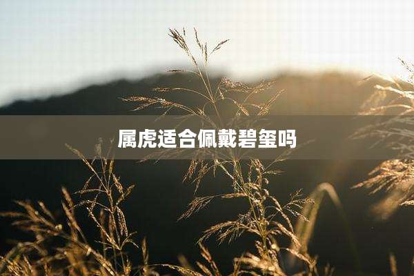 属虎适合佩戴碧玺吗