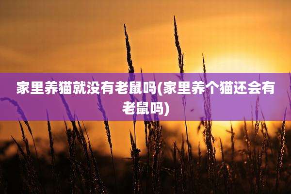 家里养猫就没有老鼠吗(家里养个猫还会有老鼠吗)