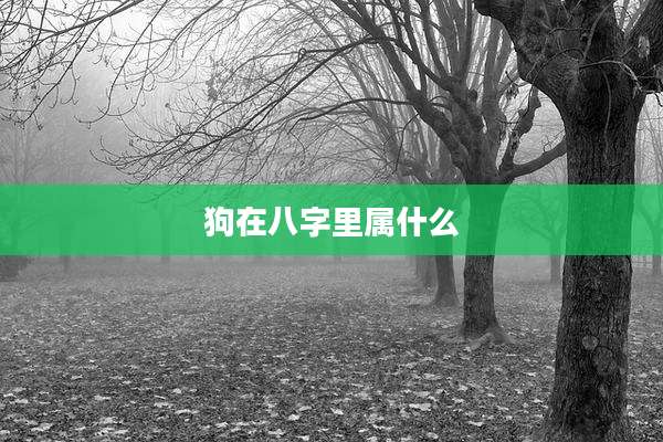 狗在八字里属什么