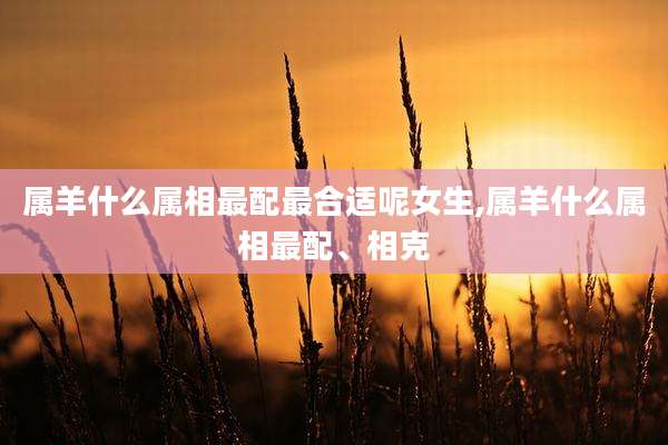 属羊什么属相最配最合适呢女生,属羊什么属相最配、相克