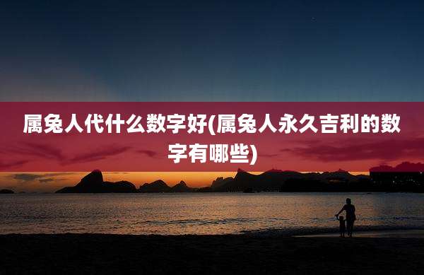 属兔人代什么数字好(属兔人永久吉利的数字有哪些)