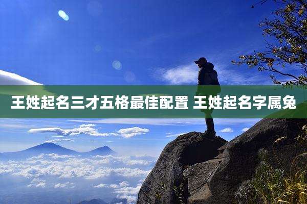 王姓起名三才五格最佳配置 王姓起名字属兔