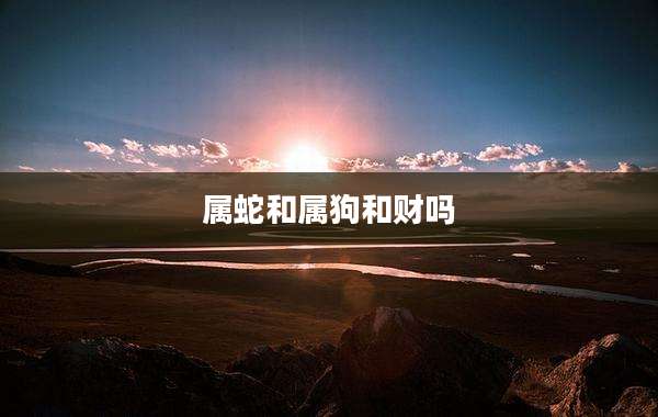 属蛇和属狗和财吗
