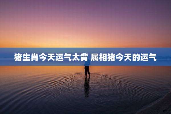 猪生肖今天运气太背 属相猪今天的运气