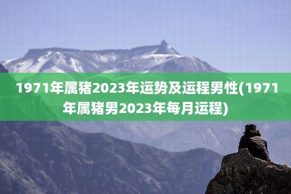1971年属猪2023年运势及运程男性(1971年属猪男2023年每月运程)