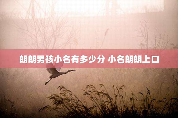 朗朗男孩小名有多少分 小名朗朗上口