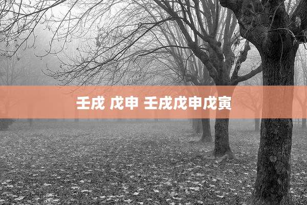 壬戌 戊申 壬戌戊申戊寅