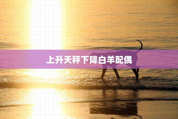 上升天秤下降白羊配偶
