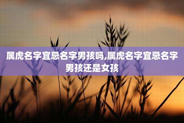 属虎名字宜忌名字男孩吗,属虎名字宜忌名字男孩还是女孩