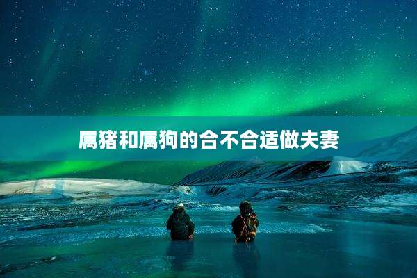属猪和属狗的合不合适做夫妻