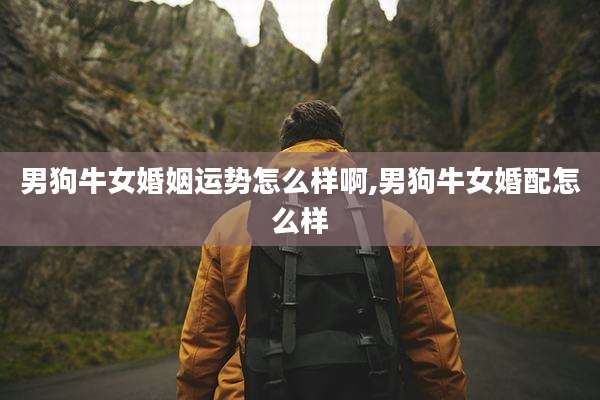 男狗牛女婚姻运势怎么样啊,男狗牛女婚配怎么样
