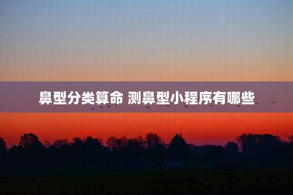 鼻型分类算命 测鼻型小程序有哪些