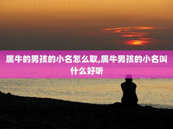 属牛的男孩的小名怎么取,属牛男孩的小名叫什么好听