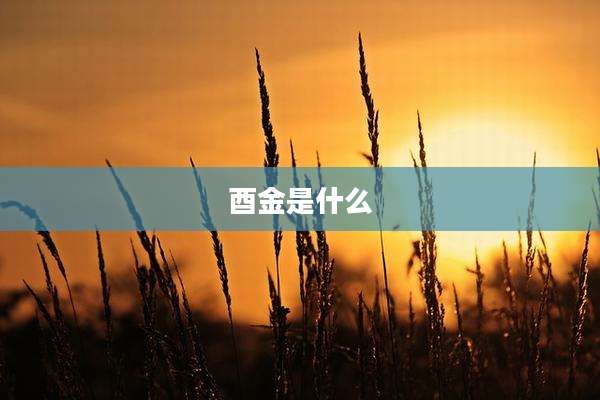 酉金是什么