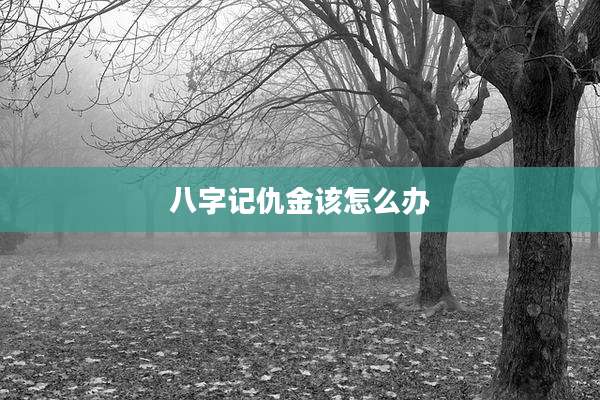八字记仇金该怎么办