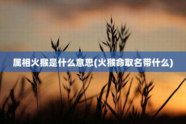 属相火猴是什么意思(火猴命取名带什么)