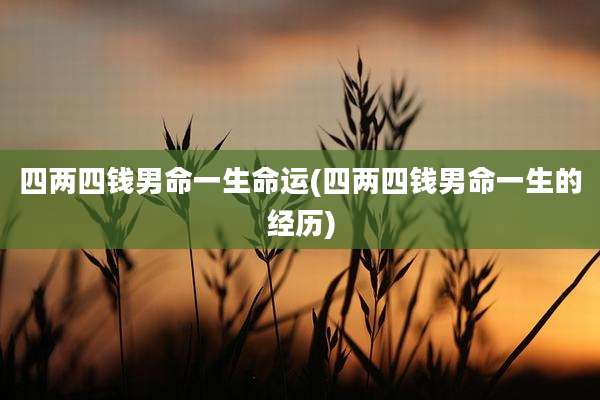 四两四钱男命一生命运(四两四钱男命一生的经历)