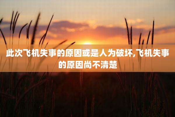此次飞机失事的原因或是人为破坏,飞机失事的原因尚不清楚