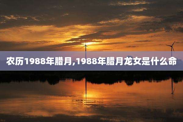 农历1988年腊月,1988年腊月龙女是什么命