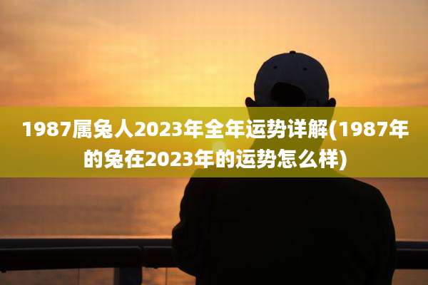 1987属兔人2023年全年运势详解(1987年的兔在2023年的运势怎么样)