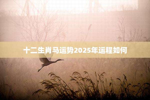 十二生肖马运势2025年运程如何