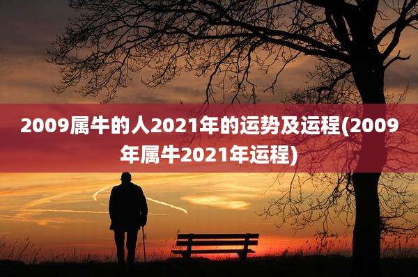 2009属牛的人2021年的运势及运程(2009年属牛2021年运程)