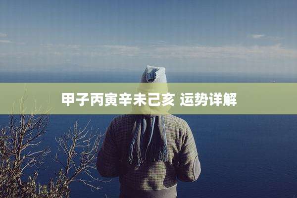甲子丙寅辛未己亥 运势详解