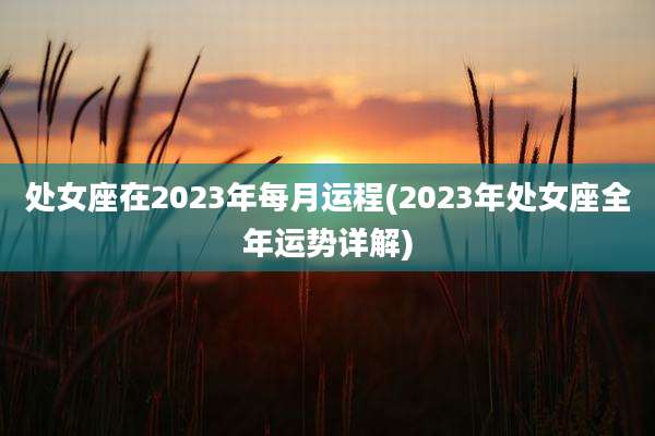 处女座在2023年每月运程(2023年处女座全年运势详解)
