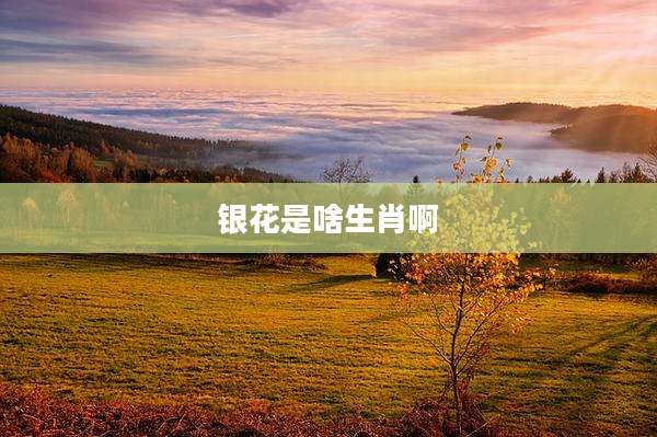 银花是啥生肖啊