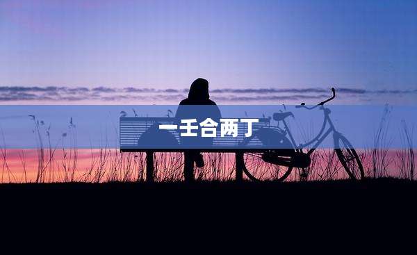 一壬合两丁