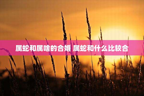属蛇和属啥的合婚 属蛇和什么比较合