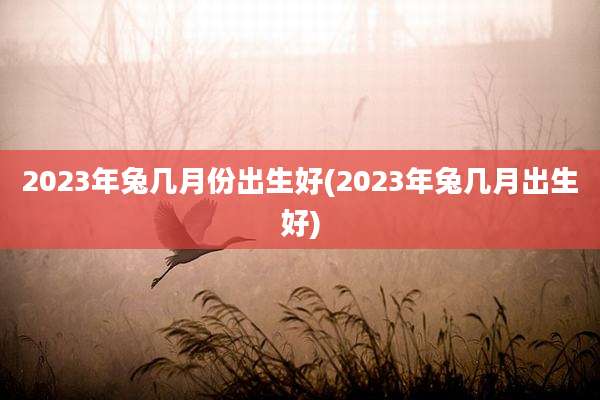 2023年兔几月份出生好(2023年兔几月出生好)