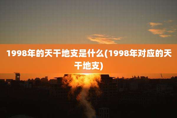 1998年的天干地支是什么(1998年对应的天干地支)