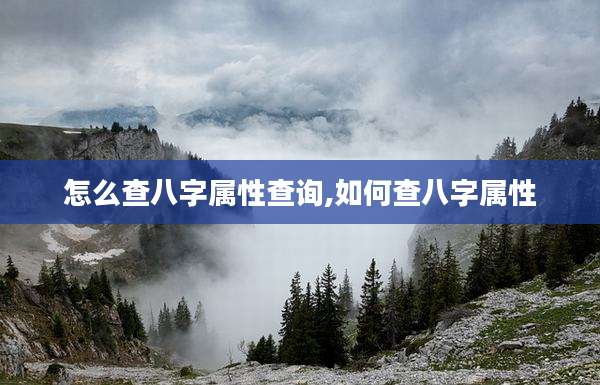 怎么查八字属性查询,如何查八字属性
