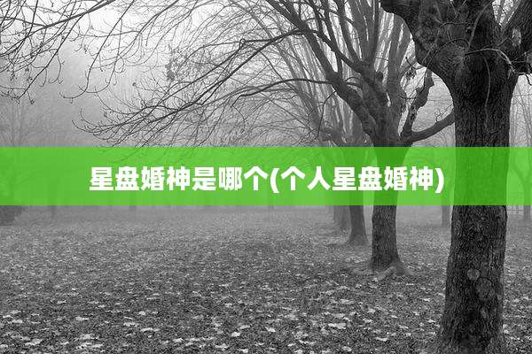 星盘婚神是哪个(个人星盘婚神)