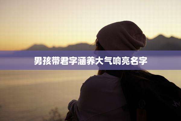 男孩带君字涵养大气响亮名字