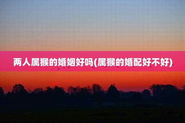 两人属猴的婚姻好吗(属猴的婚配好不好)